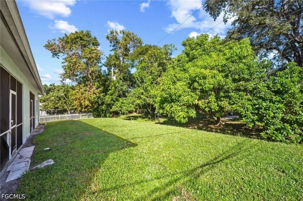 Picture 21
