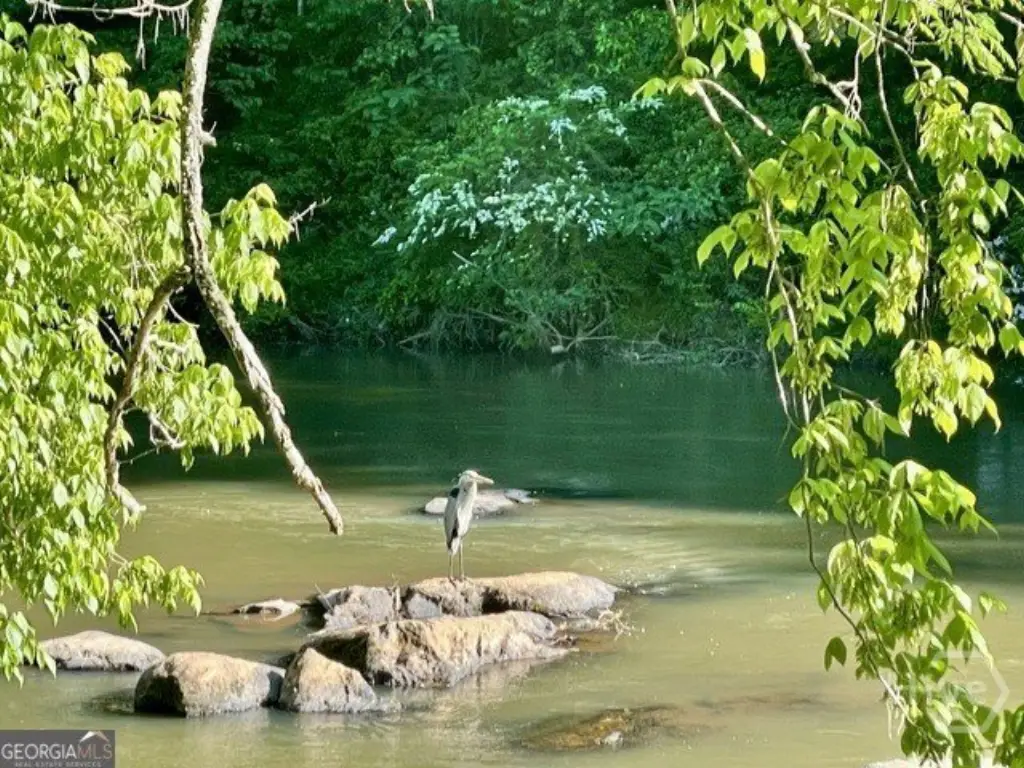 Picture 32