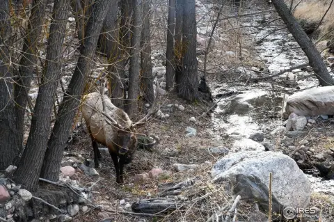 Ready-to-Build Land in Glen Haven