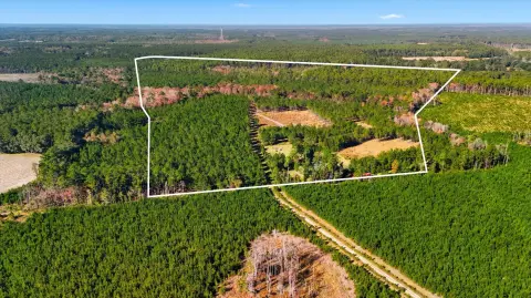 94 Acres in Walterboro, SC