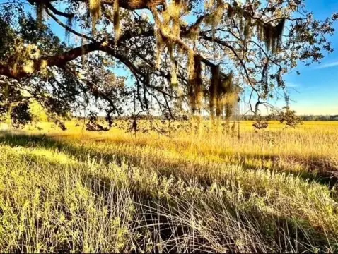 Marsh View Lot Opportunity