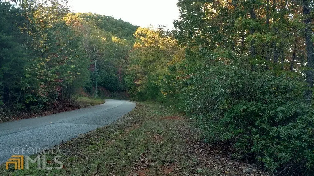Picture 4