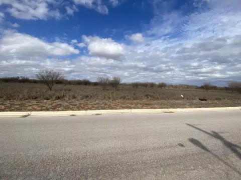 Commercial Land in Cotulla, TX