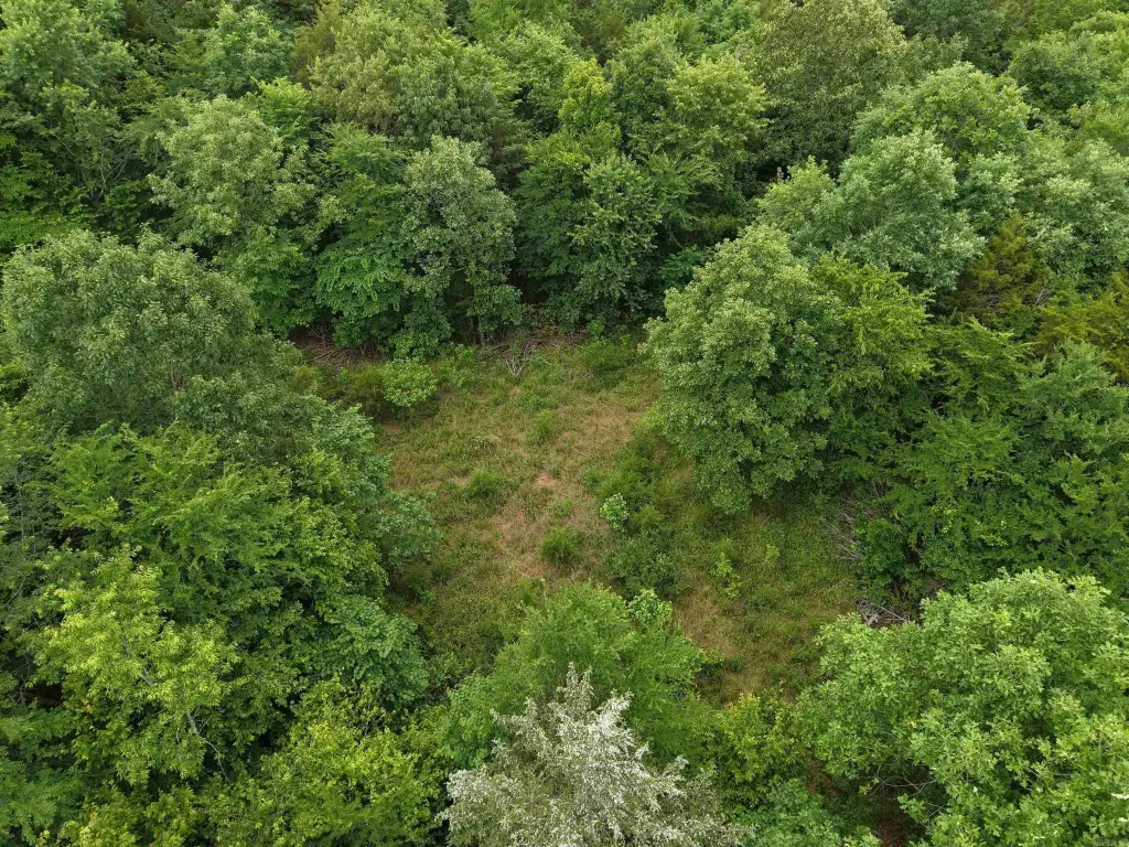 Picture 30