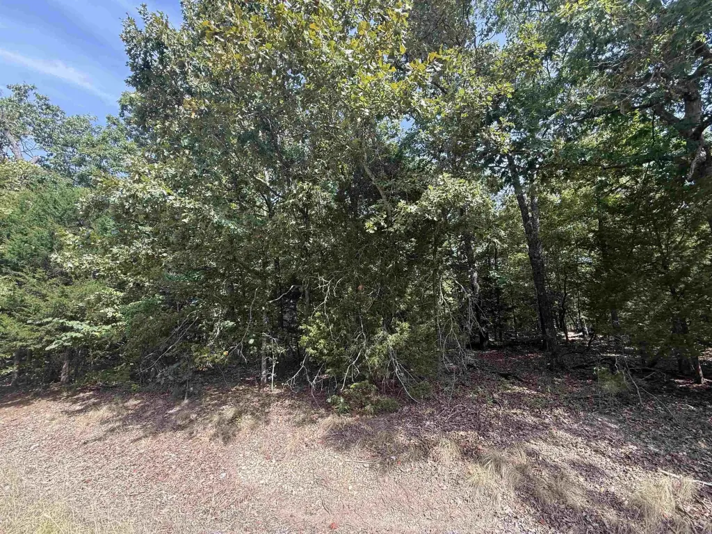 Picture 5