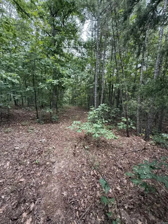 Picture 14