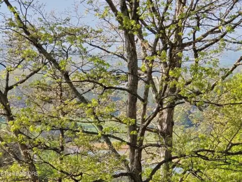 Morristown Land with Mountain Views