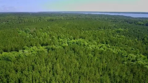 137 Acres Near Lake Eufaula