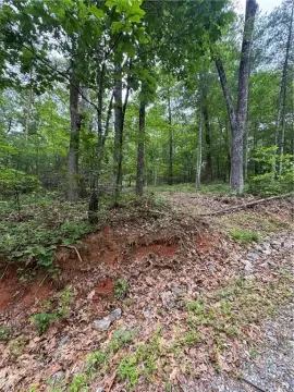 Wooded Lot in Nimblewill Creek