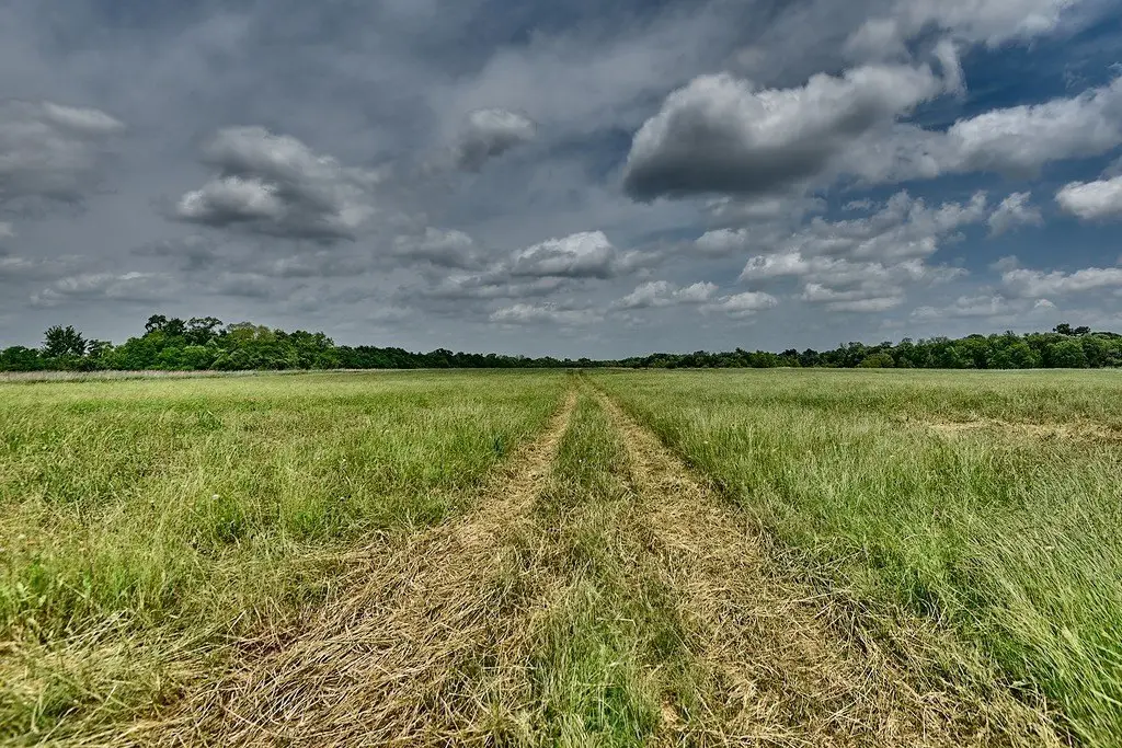 Picture 3