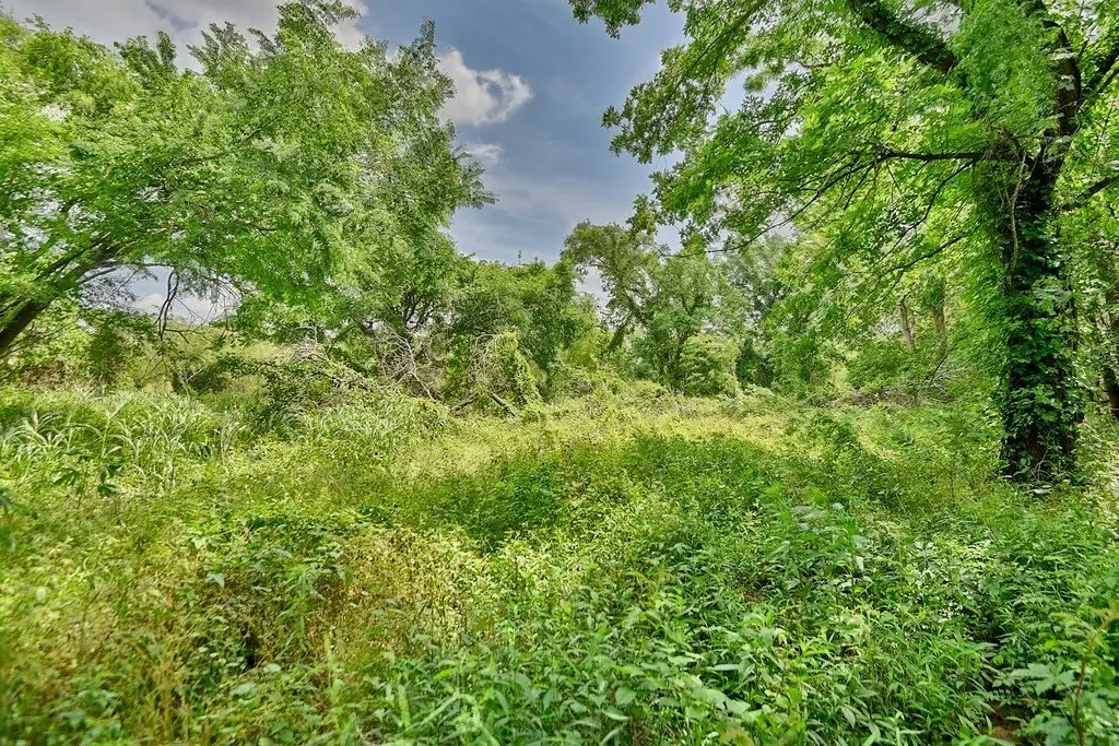 Picture 6