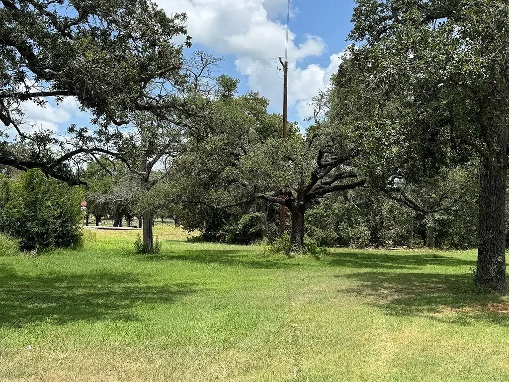 Picture 18