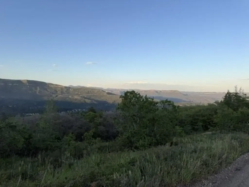 Picture 21
