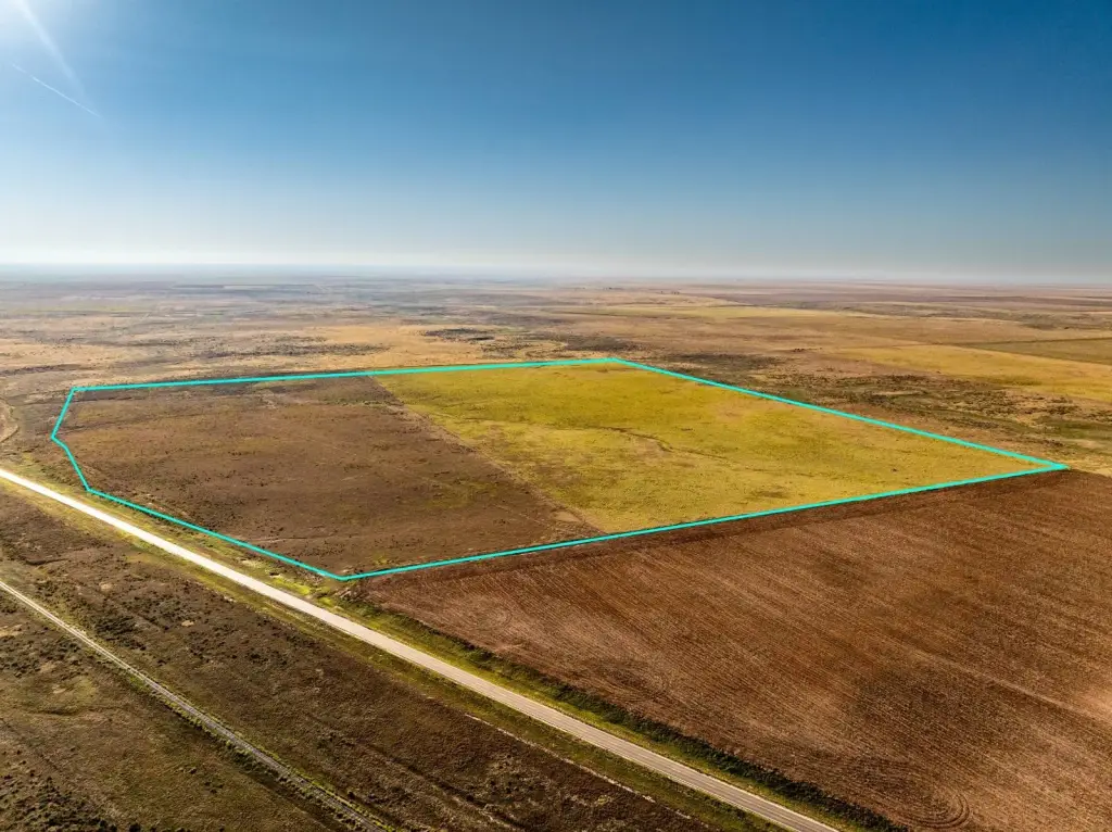 Picture 24