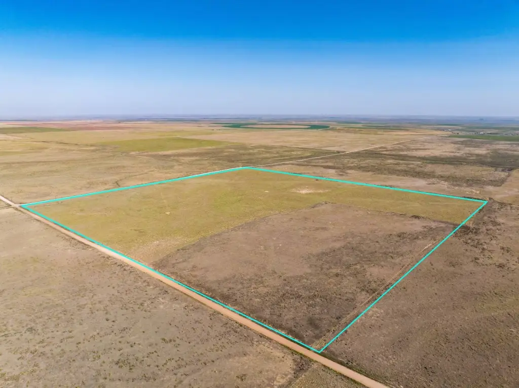 Picture 10