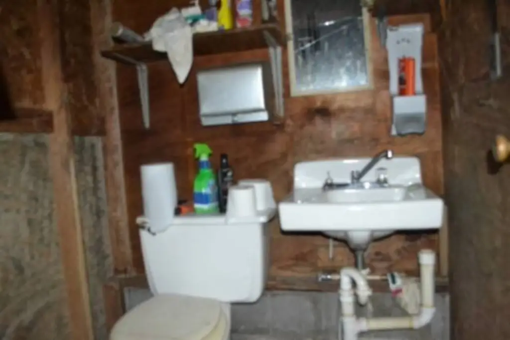 Picture 21