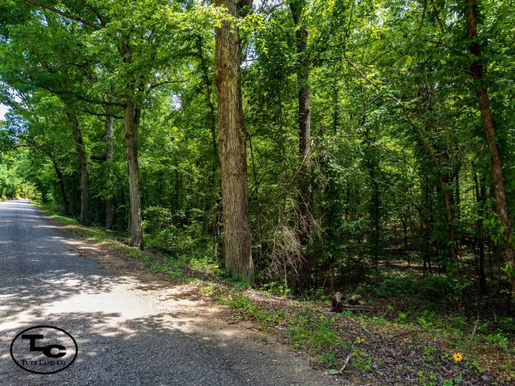 Picture 12