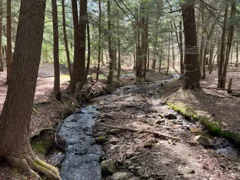 Picturesque Land with Stream Views
