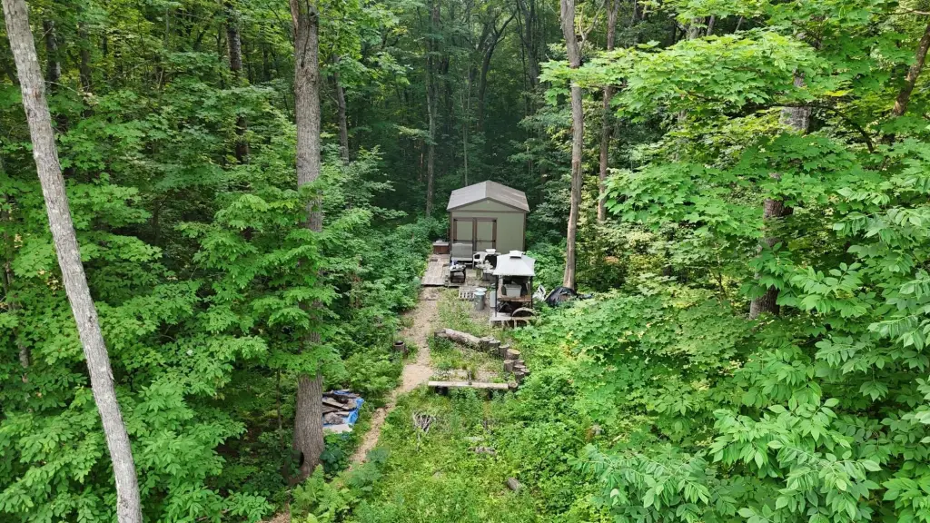 Picture 2