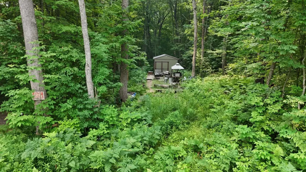 Picture 5