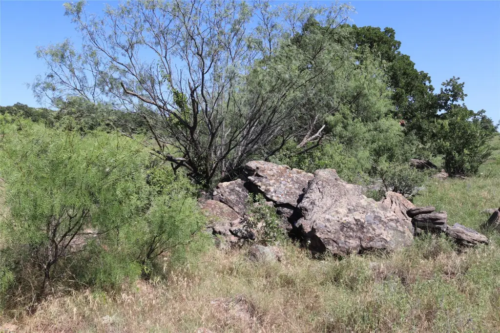 Picture 21