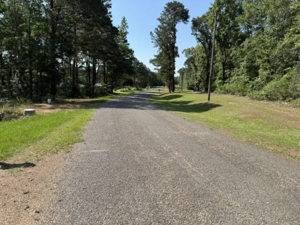 Picture 8