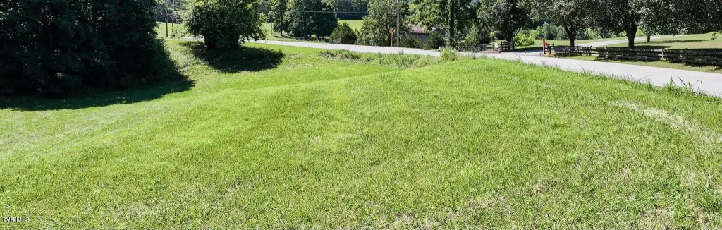 Picture 13