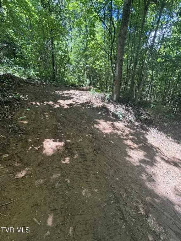 Picture 17