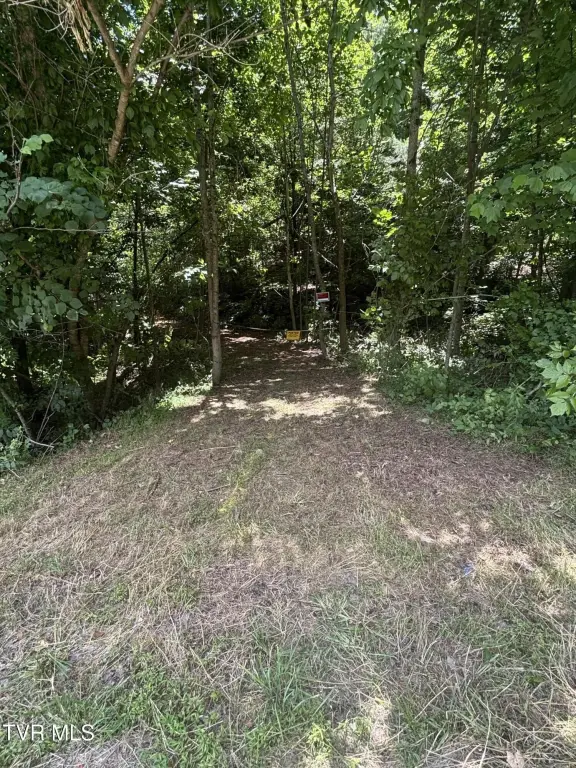 Picture 26