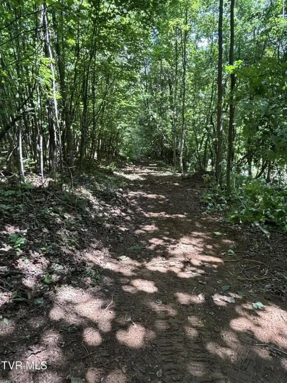 Picture 21
