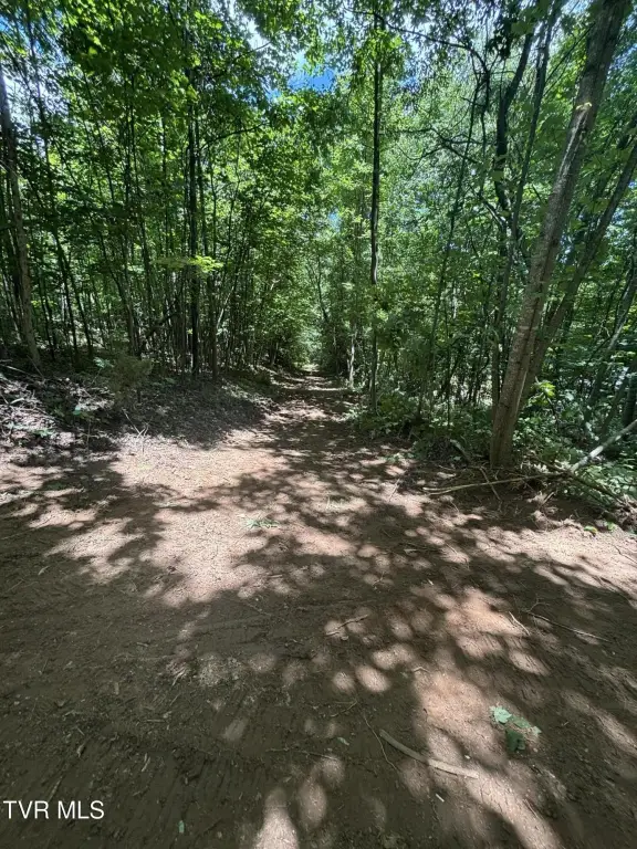Picture 16