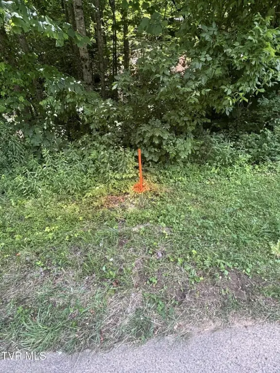 Picture 11