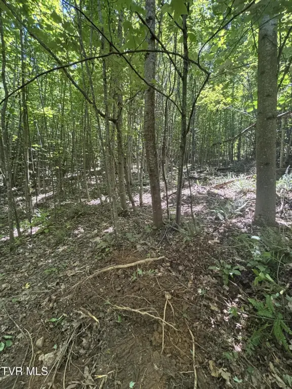 Picture 23