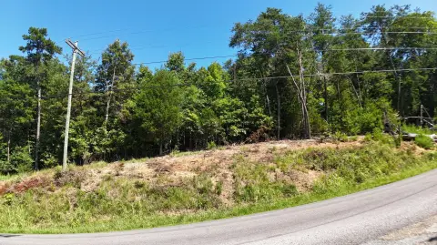 Wooded Homesite Near Douglas Lake