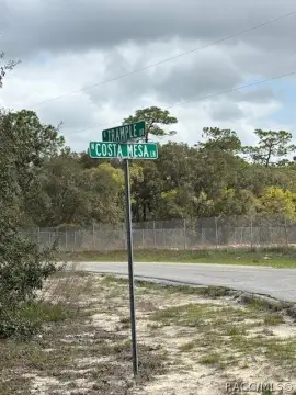 2.61 Acre Corner Lot