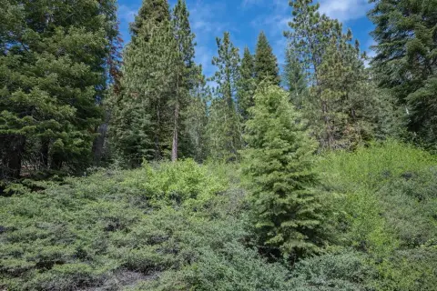 Private 5.2 Acre Recreation Parcel