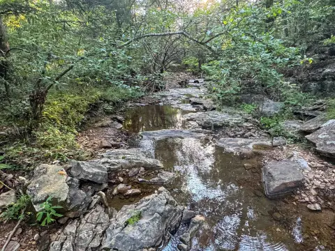 Sharp County Hunting and Getaway Tract