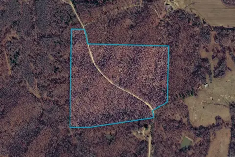 Wooded Hunting Land