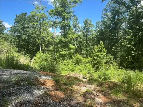 Ellijay Land with Mountain Views