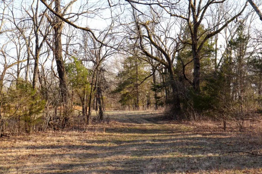 Picture 48