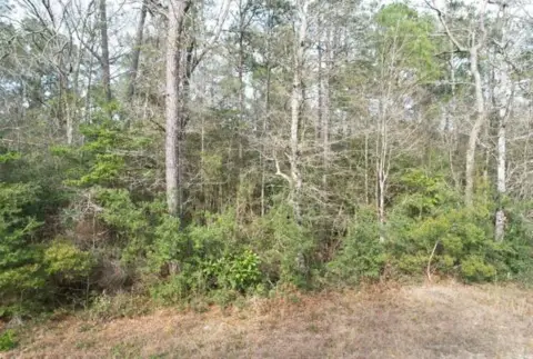 Unrestricted Wooded Land For Sale