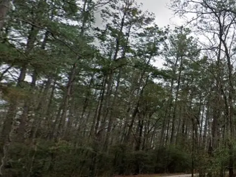 Residential Land in Vidor, Texas