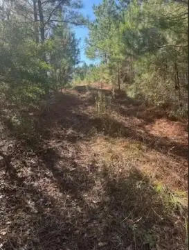 Milam, TX Land For Sale