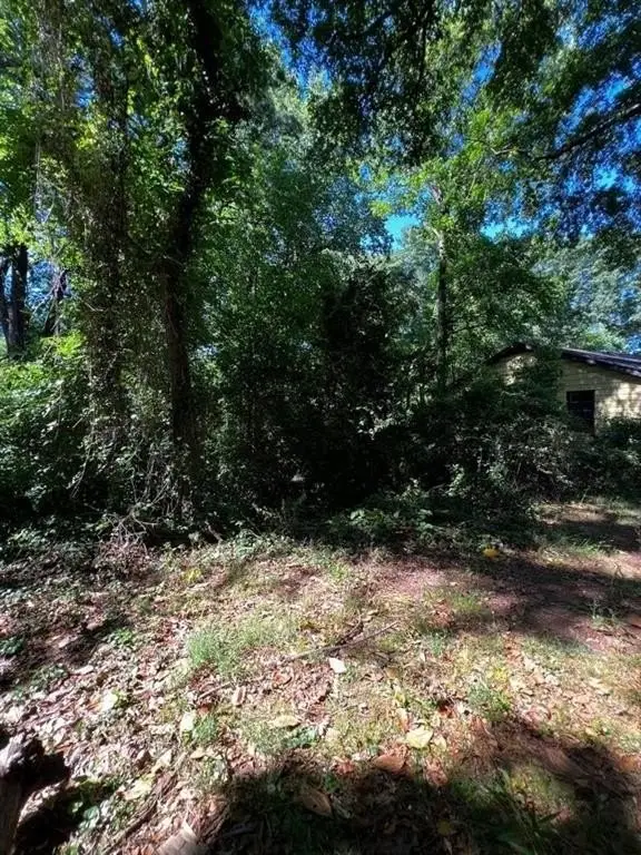 Picture 2