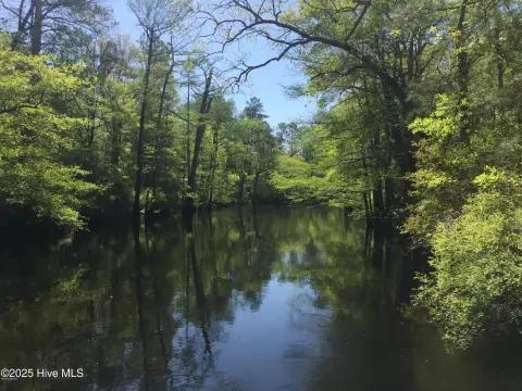 Waterfront Lot in Burgaw, NC