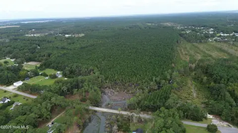 111 Acres of Wooded Land