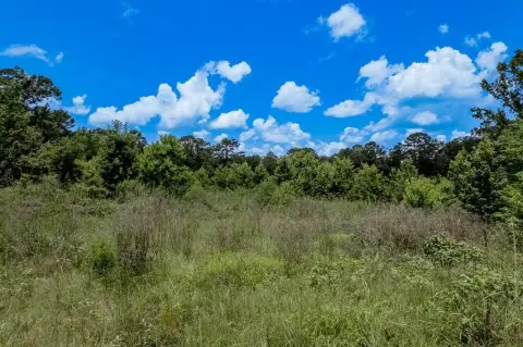 Huntington Land with Pond