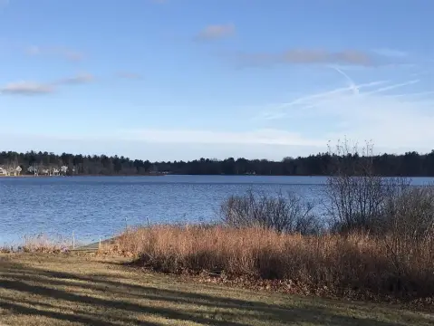 Wooded Land Near Little Black Lake