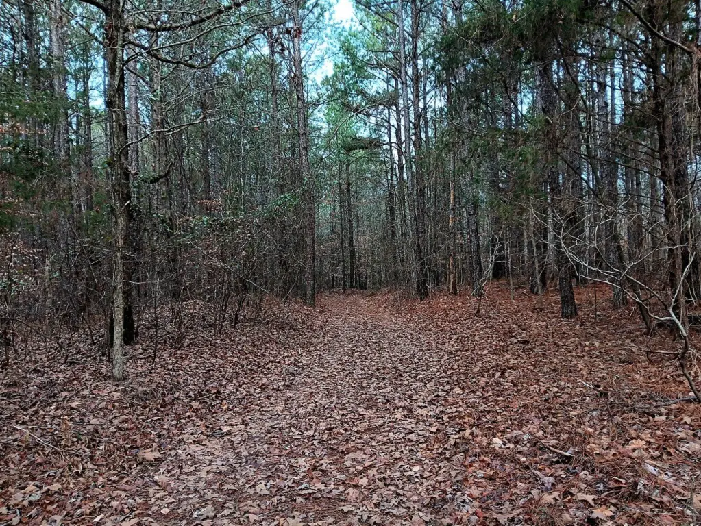 Picture 19