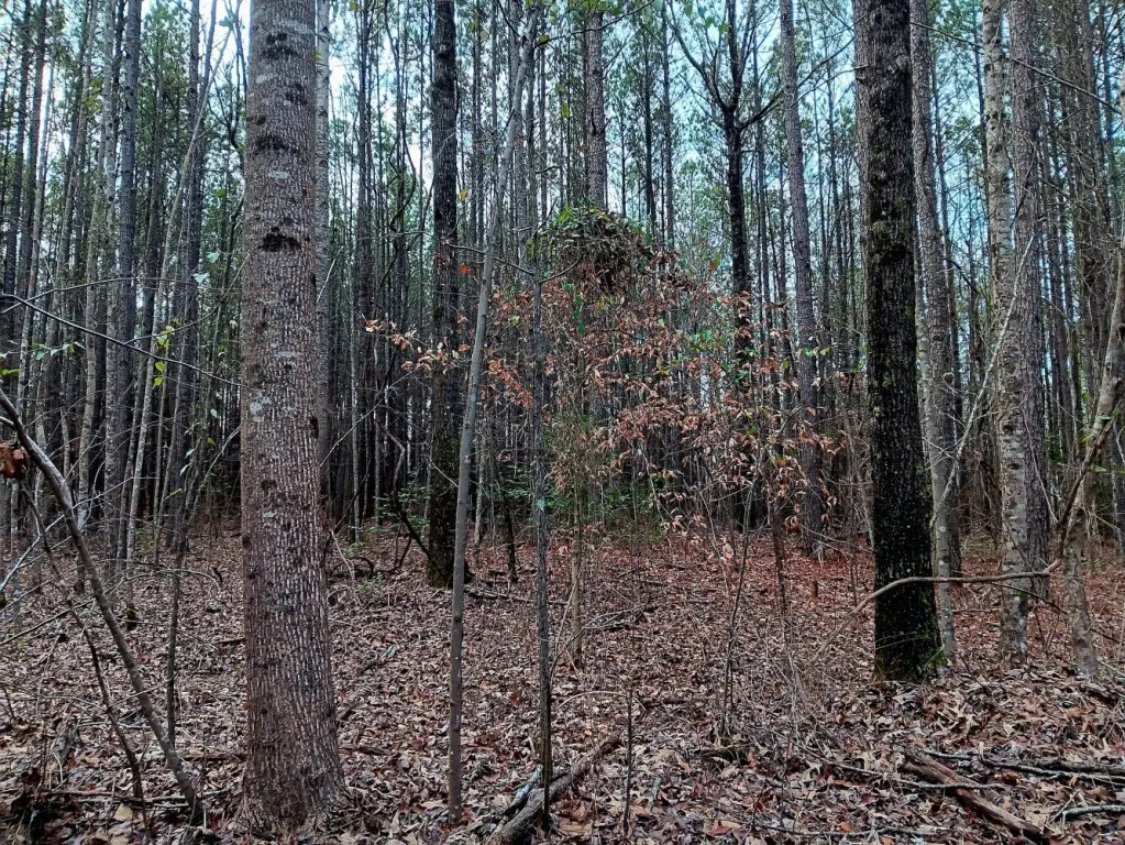 Picture 23